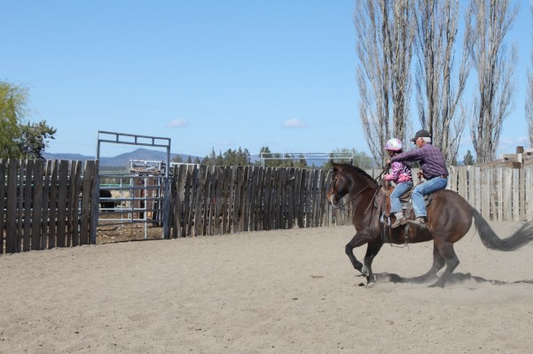 Double Riding Lesson