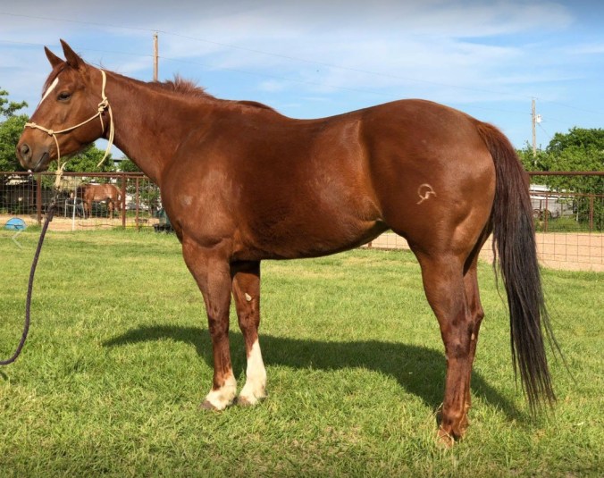 Jazzy Lil Draggin.jpg